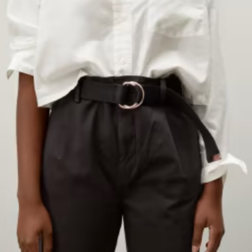 The Pleated Chino (Everlane) size 4